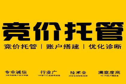搜索引擎营销（SEM）在旅游行业的应用案例